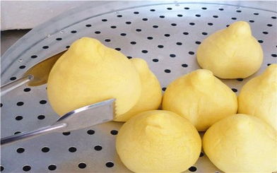 七天健康食品服务公司 您的全方位健康管理伙伴